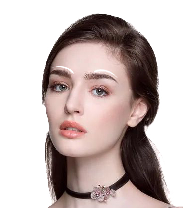 ˇ�g(sh��)üë�Nֲ